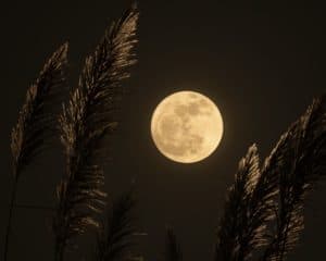Moon